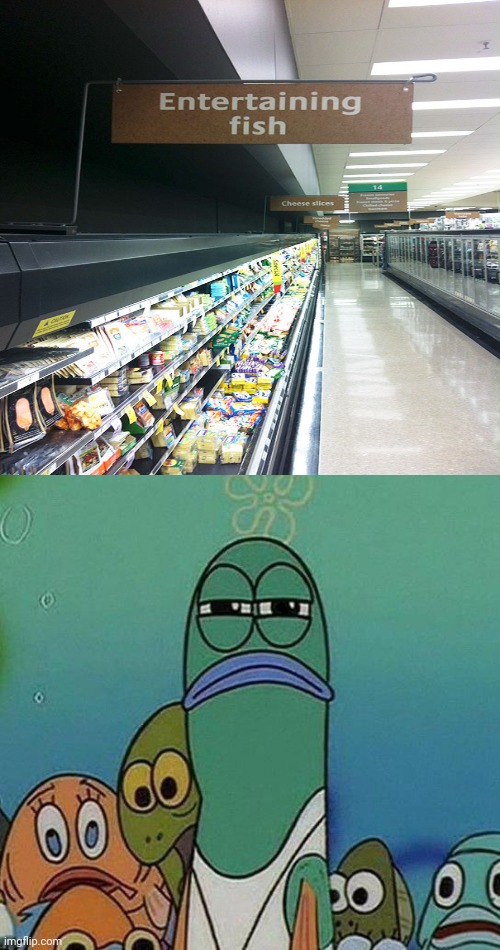 Entertaining fish, hahahahaha | image tagged in spongebob,fish,you had one job,memes,meme,store | made w/ Imgflip meme maker