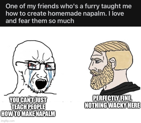 Lol what? | YOU CAN’T JUST TEACH PEOPLE HOW TO MAKE NAPALM; PERFECTLY FINE, NOTHING WACKY HERE | image tagged in soyboy vs yes chad | made w/ Imgflip meme maker