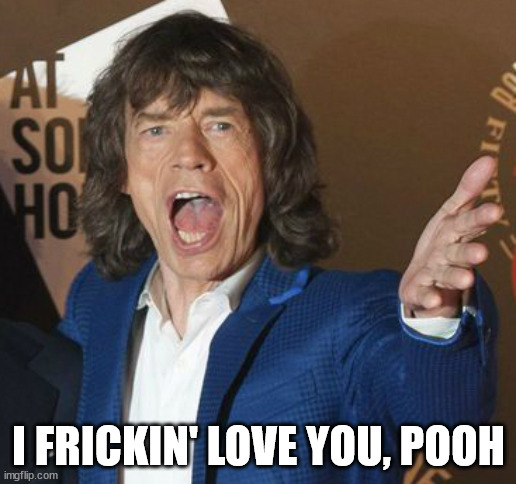 Mick Jagger Wtf | I FRICKIN' LOVE YOU, POOH | image tagged in mick jagger wtf | made w/ Imgflip meme maker