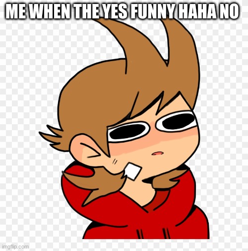 the yes funny haha no | ME WHEN THE YES FUNNY HAHA NO | image tagged in eddsworld | made w/ Imgflip meme maker