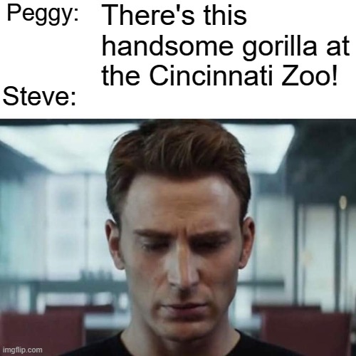 Sad Steve Rogers |  Peggy:; There's this handsome gorilla at the Cincinnati Zoo! Steve: | image tagged in sad steve rogers,captain america,avengers endgame,time travel,harambe,memes | made w/ Imgflip meme maker