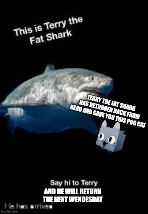 HE IS BACK WITH GIFTS! | TERRY THE FAT SHARK HAS RETURNED BACK FROM DEAD AND GAVE YOU THIS POG CAT; AND HE WILL RETURN THE NEXT WENDESDAY | image tagged in terry the fat shark,pog cat,revived meme,shark is back | made w/ Imgflip meme maker