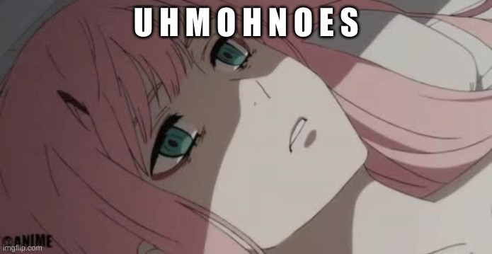 PTSD zero two | U H M O H N O E S | image tagged in ptsd zero two | made w/ Imgflip meme maker