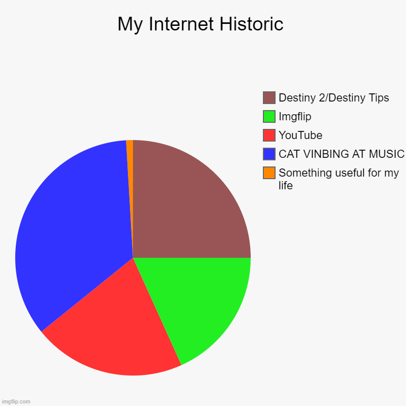 Facts of my strange life #2 | My Internet Historic | Something useful for my life, CAT VINBING AT MUSIC, YouTube, Imgflip, Destiny 2/Destiny Tips | image tagged in charts,pie charts | made w/ Imgflip chart maker