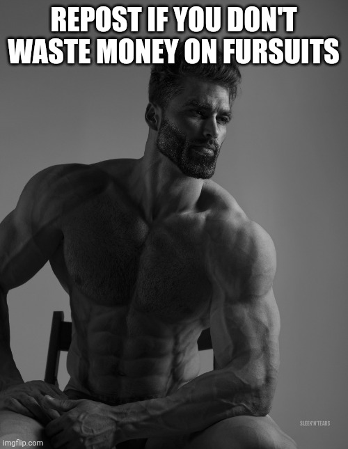 Giga Chad | REPOST IF YOU DON'T WASTE MONEY ON FURSUITS | image tagged in giga chad | made w/ Imgflip meme maker