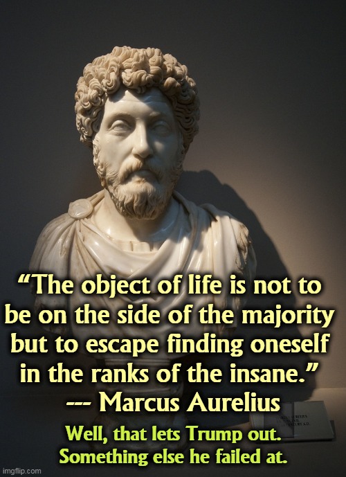 “The object of life is not to 
be on the side of the majority 
but to escape finding oneself 
in the ranks of the insane.” 
--- Marcus Aurelius; Well, that lets Trump out. Something else he failed at. | image tagged in trump,insane,failure | made w/ Imgflip meme maker