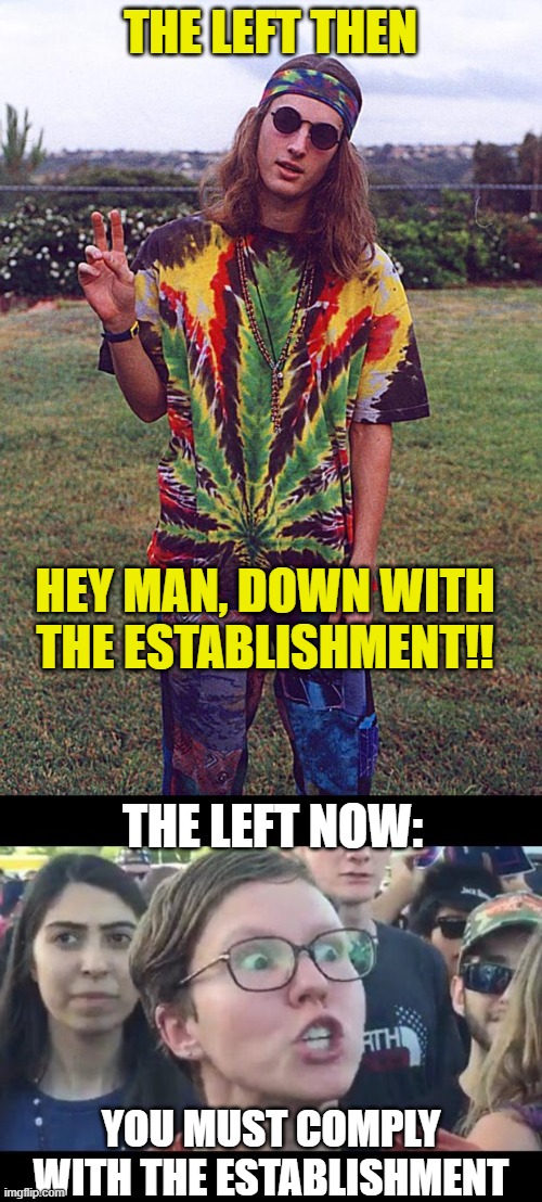 THE LEFT THEN HEY MAN, DOWN WITH THE ESTABLISHMENT!! THE LEFT NOW: YOU MUST COMPLY WITH THE ESTABLISHMENT | image tagged in hippie,angry sjw | made w/ Imgflip meme maker