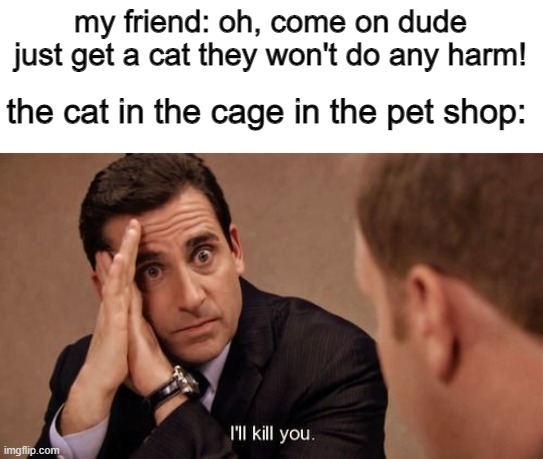 cat owners are just assassins in perfect disguise | my friend: oh, come on dude just get a cat they won't do any harm! the cat in the cage in the pet shop: | image tagged in ill kill you | made w/ Imgflip meme maker