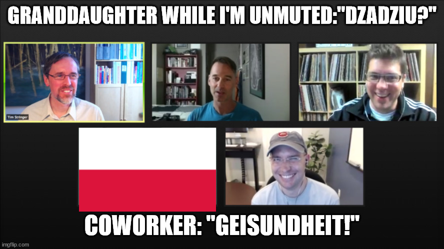 The Polish-American WFH experience | GRANDDAUGHTER WHILE I'M UNMUTED:"DZADZIU?"; COWORKER: "GEISUNDHEIT!" | image tagged in zoom meeting,polish,work from home | made w/ Imgflip meme maker