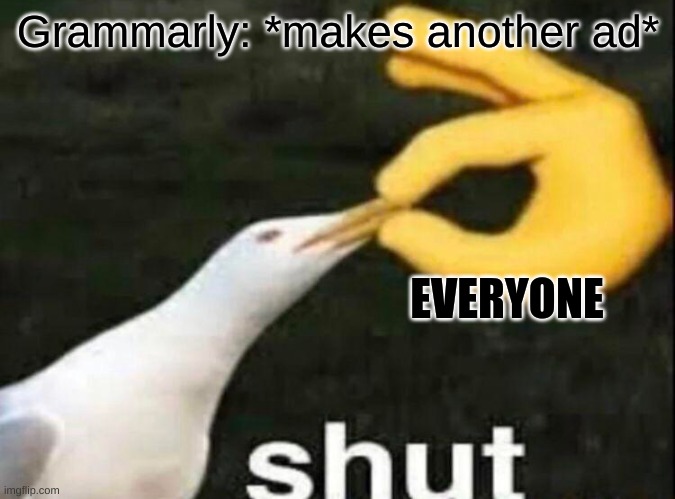 Literally everyone: | Grammarly: *makes another ad*; EVERYONE | image tagged in shut | made w/ Imgflip meme maker