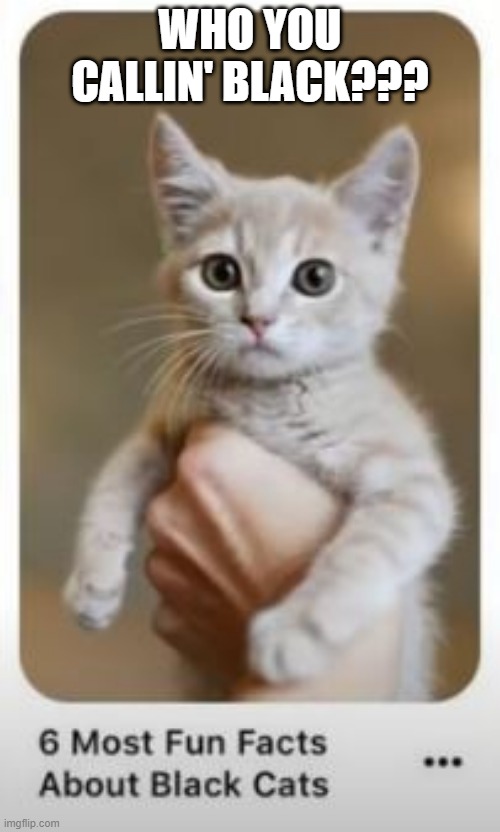 That's Catracist | WHO YOU CALLIN' BLACK??? | image tagged in you had one job | made w/ Imgflip meme maker