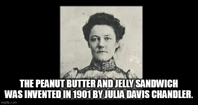 PB&J | THE PEANUT BUTTER AND JELLY SANDWICH WAS INVENTED IN 1901 BY JULIA DAVIS CHANDLER. | image tagged in pb j | made w/ Imgflip meme maker