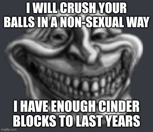 Realistic Troll Face | I WILL CRUSH YOUR BALLS IN A NON-SEXUAL WAY; I HAVE ENOUGH CINDER BLOCKS TO LAST YEARS | image tagged in realistic troll face | made w/ Imgflip meme maker