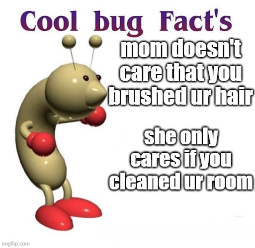 *clever but relatable title here* | mom doesn't care that you brushed ur hair; she only cares if you cleaned ur room | image tagged in cool bug facts | made w/ Imgflip meme maker