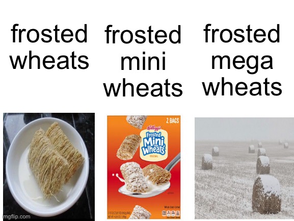 Blank White Template | frosted mega wheats; frosted mini wheats; frosted wheats | image tagged in blank white template | made w/ Imgflip meme maker