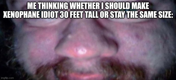 Pure Anger | ME THINKING WHETHER I SHOULD MAKE XENOPHANE IDIOT 30 FEET TALL OR STAY THE SAME SIZE: | image tagged in pure anger | made w/ Imgflip meme maker