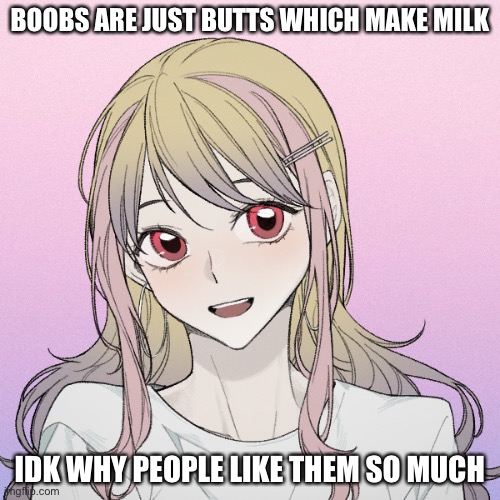 peachytroopa’s new picrew | BOOBS ARE JUST BUTTS WHICH MAKE MILK; IDK WHY PEOPLE LIKE THEM SO MUCH | image tagged in peachytroopa s new picrew | made w/ Imgflip meme maker