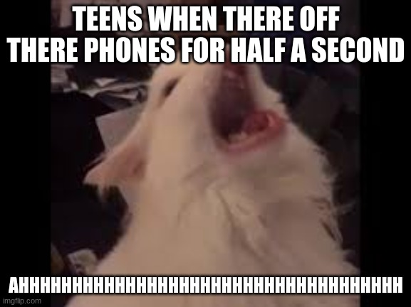 ahhhhhhhhhhhhhhhhhhhhhhhhhhhhhhhhhhhhhhhhhhhhhhhhhhhhhhhhhhhhhhhhhhhhhhhhhhhhhhhhhhhhhhhhhhhhhhhhhhhhhhhhhhhhhhhhhhhhhhhhhhhhhhh | TEENS WHEN THERE OFF THERE PHONES FOR HALF A SECOND; AHHHHHHHHHHHHHHHHHHHHHHHHHHHHHHHHHHHH | image tagged in screamin cat | made w/ Imgflip meme maker