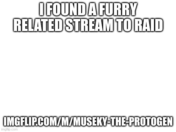 Blank White Template | I FOUND A FURRY RELATED STREAM TO RAID; IMGFLIP.COM/M/MUSEKY-THE-PROTOGEN | image tagged in blank white template | made w/ Imgflip meme maker