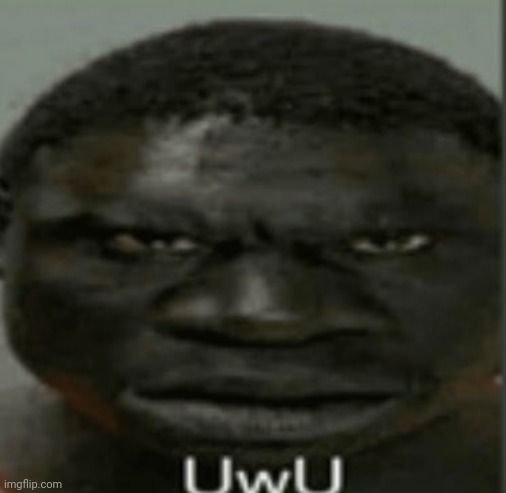 UwU | image tagged in uwu | made w/ Imgflip meme maker