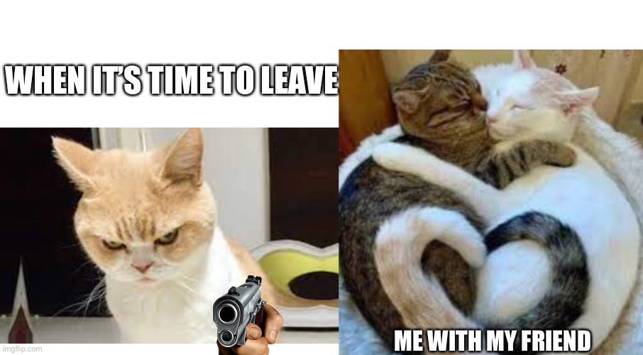 My friend | WHEN IT’S TIME TO LEAVE; ME WITH MY FRIEND | image tagged in grumpy cat | made w/ Imgflip meme maker