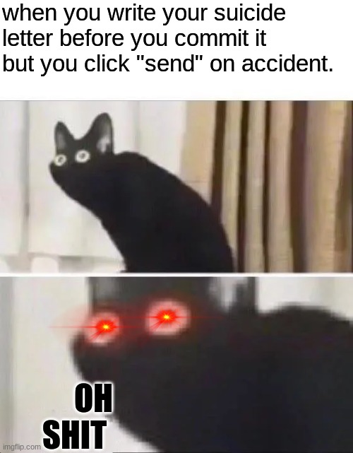 dOnT cHeCk YoUr InBoX |  when you write your suicide letter before you commit it but you click "send" on accident. OH SHIT | image tagged in oh no black cat,suicide,depression sadness hurt pain anxiety | made w/ Imgflip meme maker