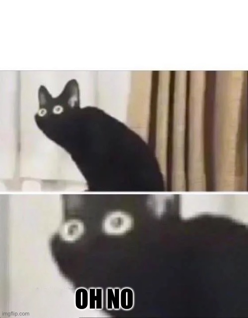 Oh No Black Cat | OH NO | image tagged in oh no black cat | made w/ Imgflip meme maker