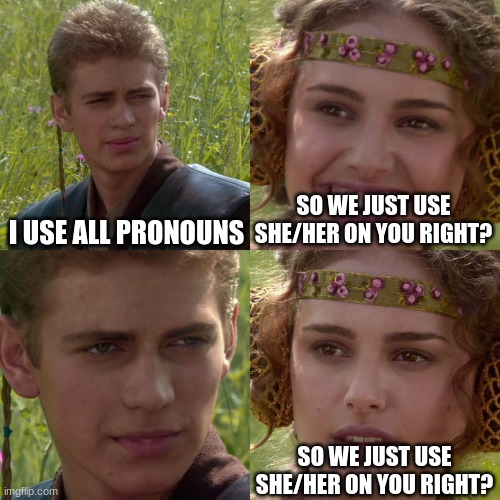 The Eret fandom is like this | I USE ALL PRONOUNS; SO WE JUST USE SHE/HER ON YOU RIGHT? SO WE JUST USE SHE/HER ON YOU RIGHT? | image tagged in anakin padme 4 panel,eret,dreamsmp,the eret | made w/ Imgflip meme maker