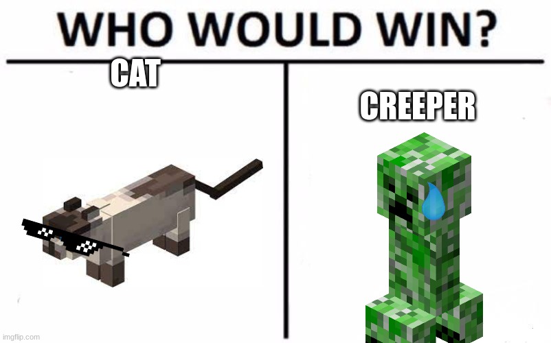 this is a TIGHT mashup *sarcasti* ^o^ | CAT; CREEPER | image tagged in memes,who would win | made w/ Imgflip meme maker