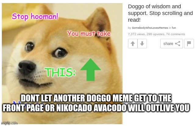 dont let doggo memes take over. again. | image tagged in idk,why are you reading this,stop reading the tags | made w/ Imgflip meme maker