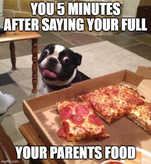 You Can't Lie |  YOU 5 MINUTES AFTER SAYING YOUR FULL; YOUR PARENTS FOOD | image tagged in hungry pizza dog | made w/ Imgflip meme maker