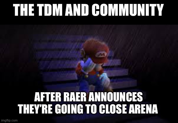 Sea of thieves TDM community reaction | THE TDM AND COMMUNITY; AFTER RAER ANNOUNCES THEY’RE GOING TO CLOSE ARENA | image tagged in sad mario | made w/ Imgflip meme maker