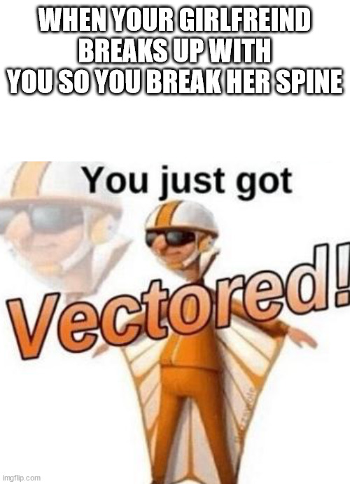 You just got vectored | WHEN YOUR GIRLFREIND BREAKS UP WITH YOU SO YOU BREAK HER SPINE | image tagged in you just got vectored | made w/ Imgflip meme maker