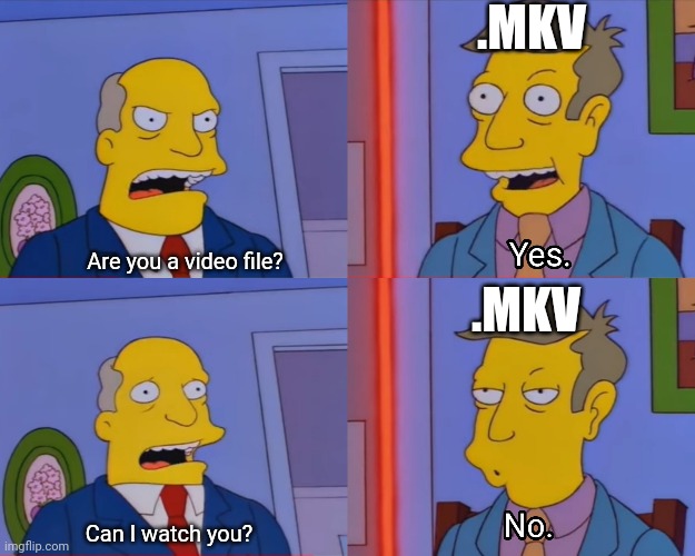 Aurora Borealis (MKV) | .MKV; Are you a video file? .MKV; Can I watch you? | image tagged in aurora borealis,simpsons,seymour skinner | made w/ Imgflip meme maker