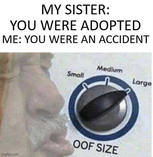 Oof size large | MY SISTER: YOU WERE ADOPTED; ME: YOU WERE AN ACCIDENT | image tagged in oof size large | made w/ Imgflip meme maker