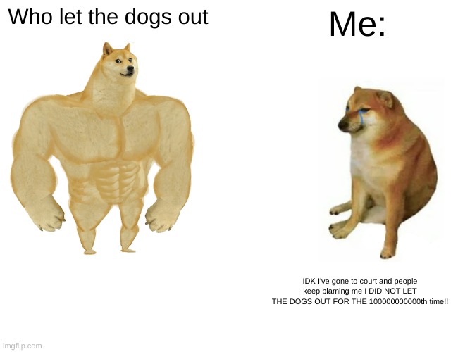 Who let the dogs out Me: IDK I've gone to court and people keep blaming me I DID NOT LET THE DOGS OUT FOR THE 100000000000th time!! | image tagged in memes,buff doge vs cheems | made w/ Imgflip meme maker