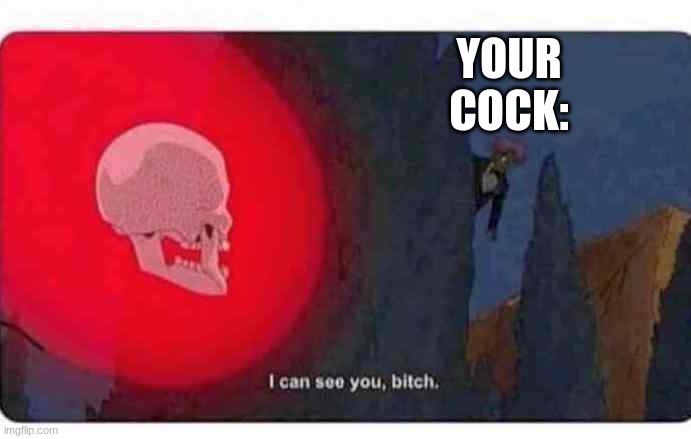 I can see you, bitch | YOUR COCK: | image tagged in i can see you bitch | made w/ Imgflip meme maker