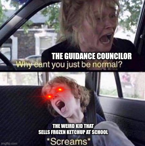 wtf? | THE GUIDANCE COUNCILOR; THE WEIRD KID THAT SELLS FROZEN KETCHUP AT SCHOOL | image tagged in why can't you just be normal | made w/ Imgflip meme maker