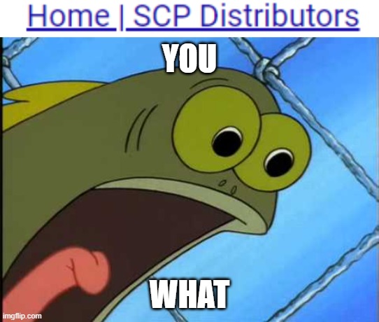hol' up | YOU; WHAT | image tagged in you what,scp meme | made w/ Imgflip meme maker