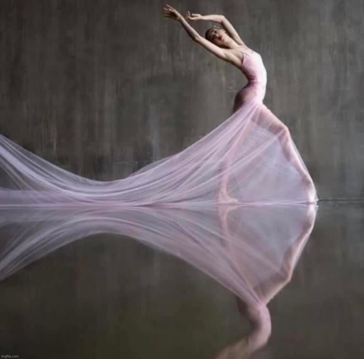 Elegant dancer | image tagged in elegant dancer | made w/ Imgflip meme maker