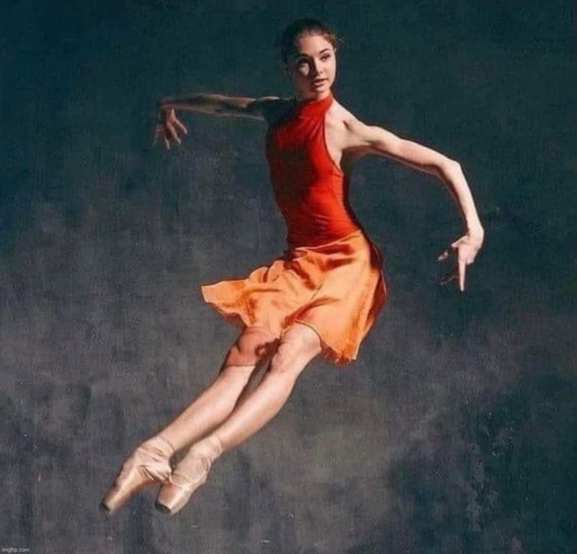 Elegant dancer | image tagged in elegant dancer | made w/ Imgflip meme maker