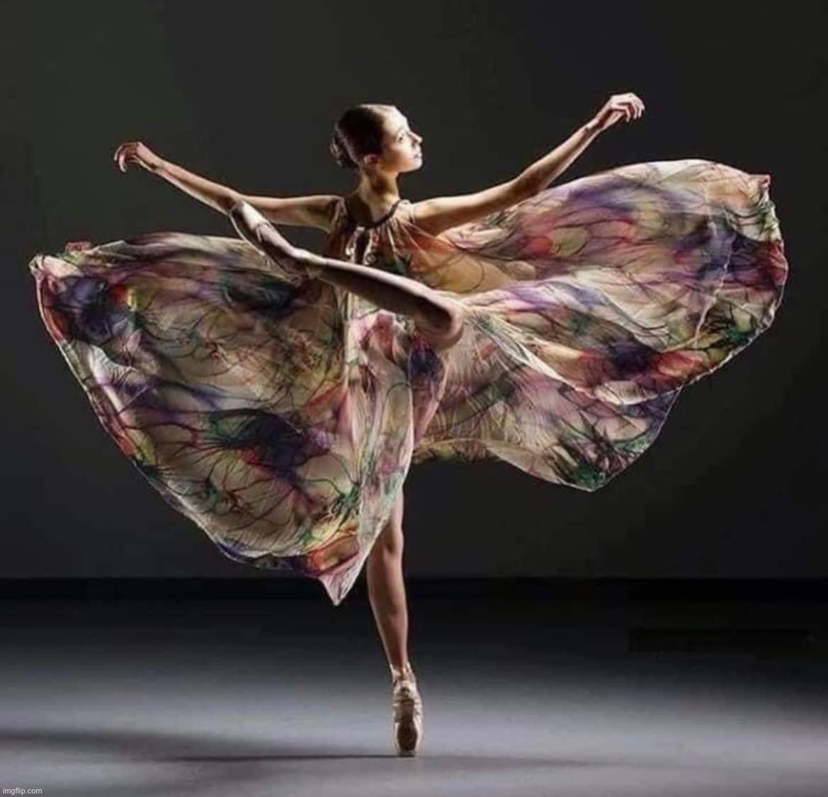 Elegant dancer | image tagged in elegant dancer | made w/ Imgflip meme maker