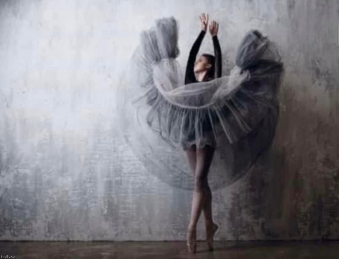 Elegant dancer | image tagged in elegant dancer | made w/ Imgflip meme maker