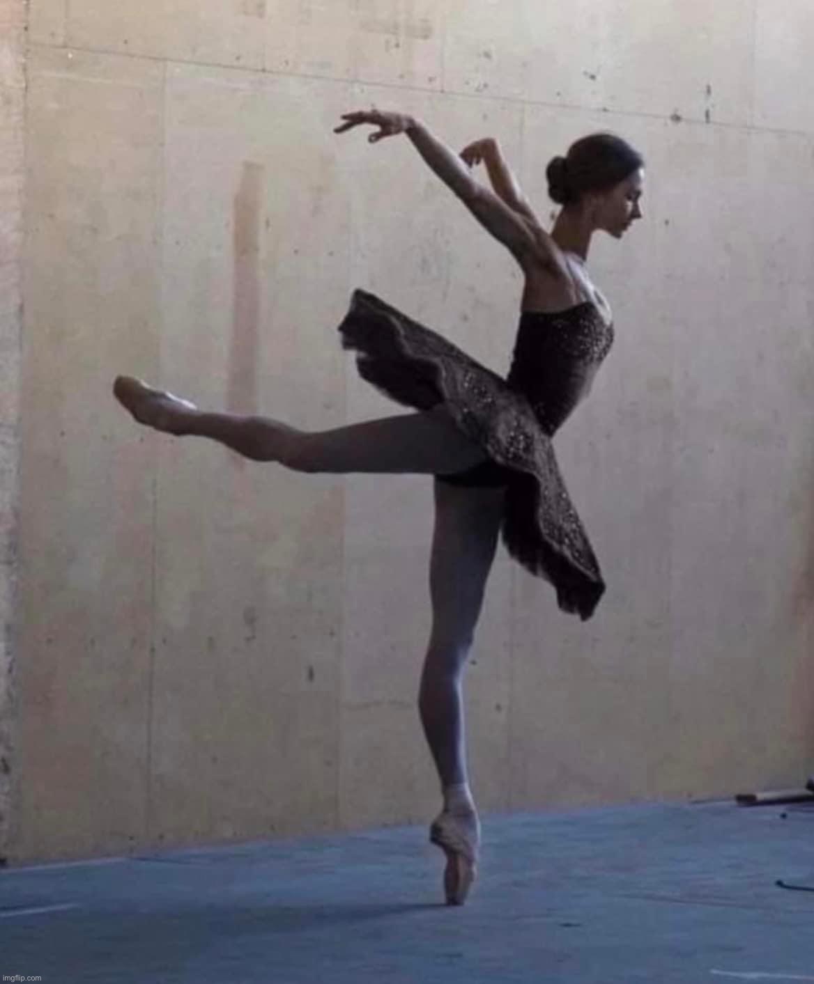 Elegant dancer | image tagged in elegant dancer | made w/ Imgflip meme maker