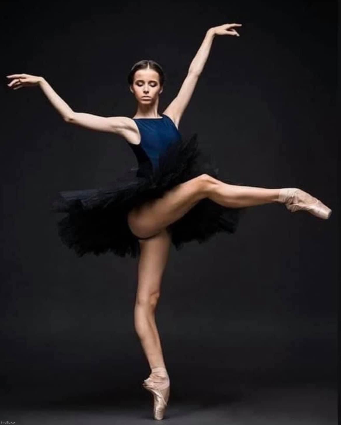 Elegant dancer | image tagged in elegant dancer | made w/ Imgflip meme maker