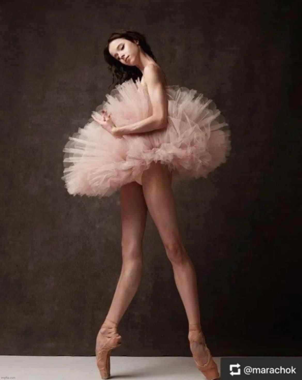 Elegant dancer | image tagged in elegant dancer | made w/ Imgflip meme maker