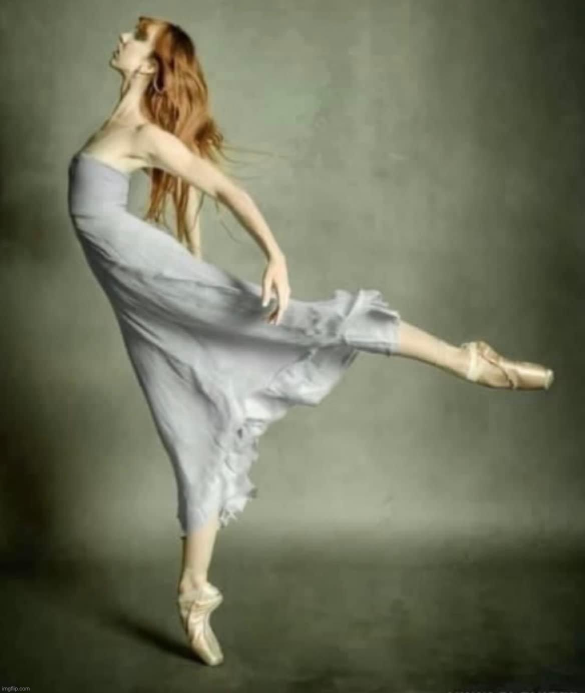 Elegant dancer | image tagged in elegant dancer | made w/ Imgflip meme maker