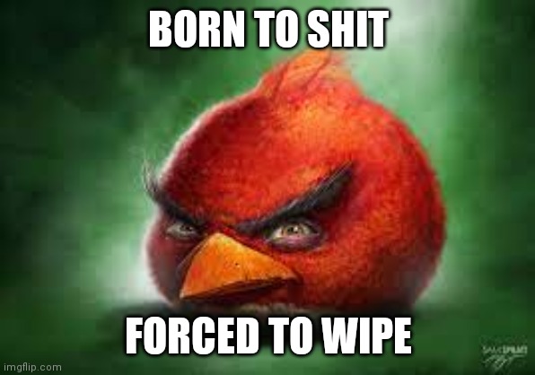 Realistic Red Angry Birds | BORN TO SHIT; FORCED TO WIPE | image tagged in realistic red angry birds | made w/ Imgflip meme maker