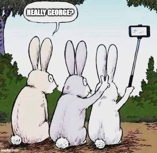 bunny ears | REALLY GEORGE? | image tagged in bunny ears,bunny selfie | made w/ Imgflip meme maker