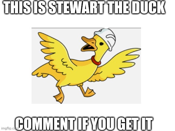 THIS IS STEWART THE DUCK; COMMENT IF YOU GET IT | made w/ Imgflip meme maker